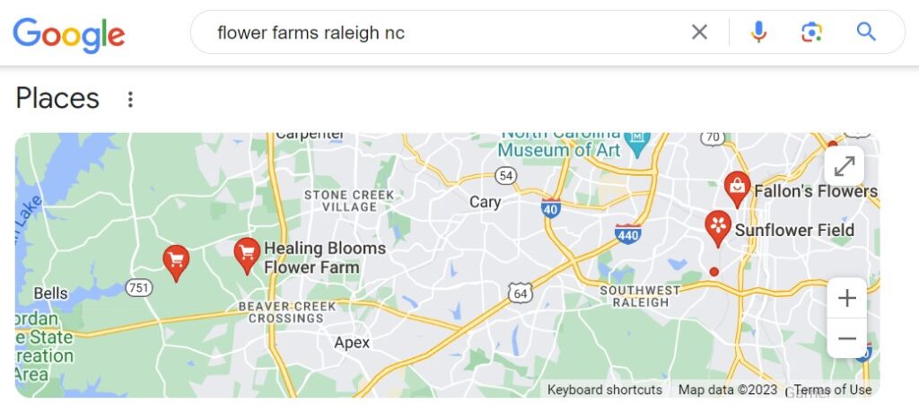 Screenshot of Google Maps showing flower farms in Raleigh