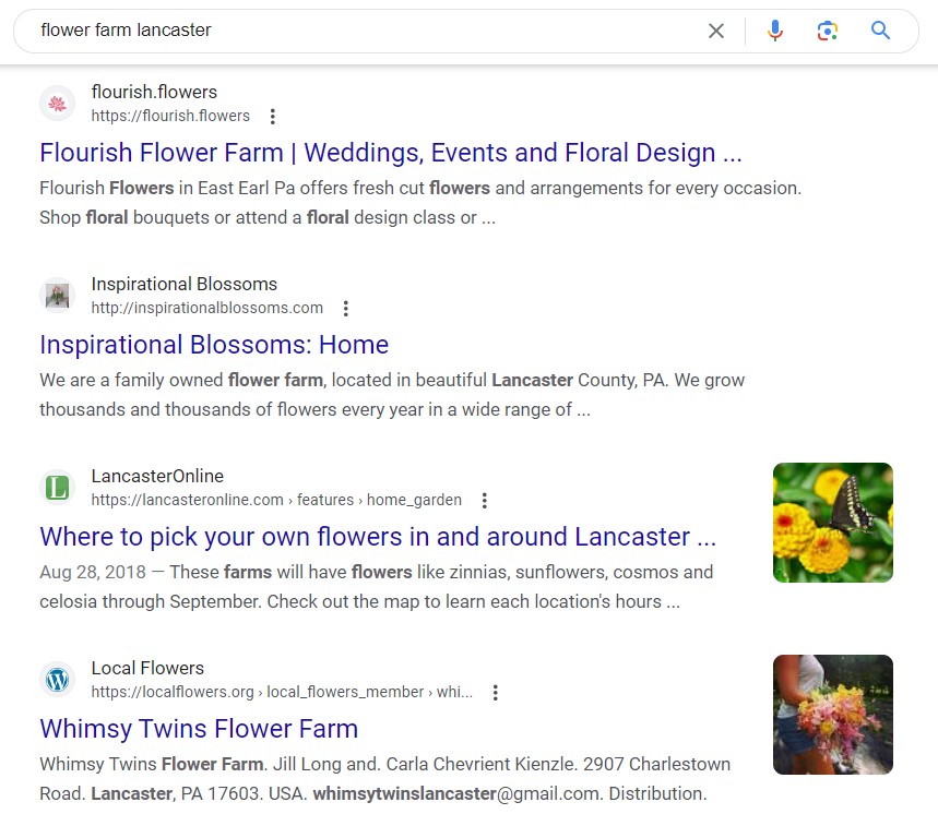 Screenshot of flower farms ranking on Google