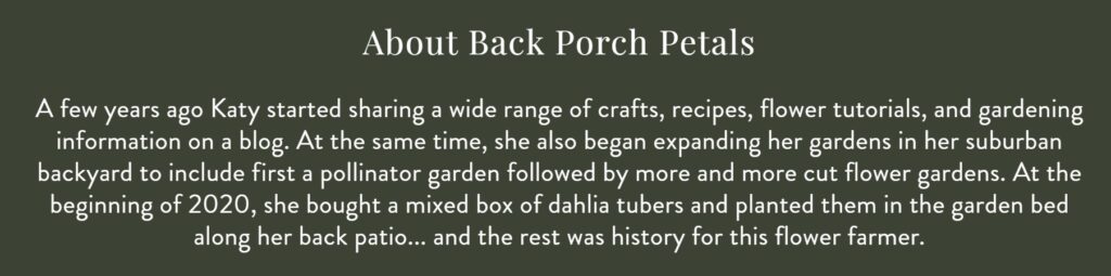 Screenshot of Back Porch Petals About page